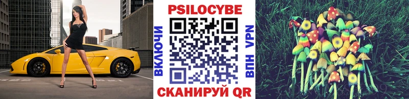 нарко площадка официальный сайт  mega как зайти  Галлюциногенные грибы MAGIC MUSHROOMS  Аргун  что такое наркотик 