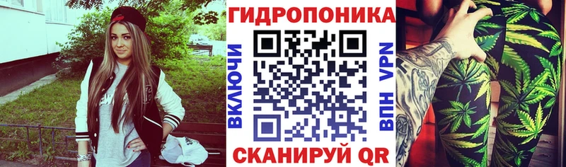 как найти закладки  blacksprut рабочий сайт  нарко площадка клад  Аргун  Марихуана MAZAR 